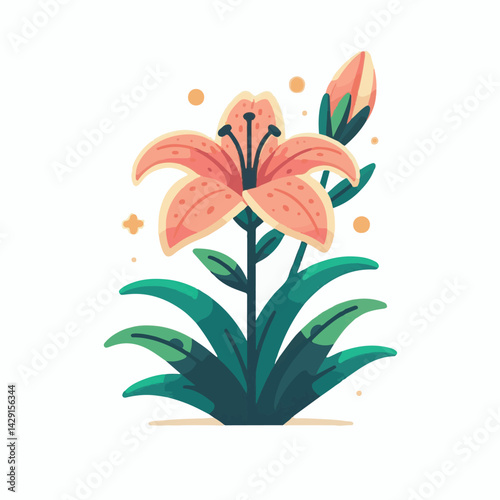 floral, lily, flower, nature, blossom, plant, white, background, spring, flora, bouquet, isolated, botanical, decoration, summer, botany, leaf, bloom, beautiful, green, closeup, petal, illustration, g