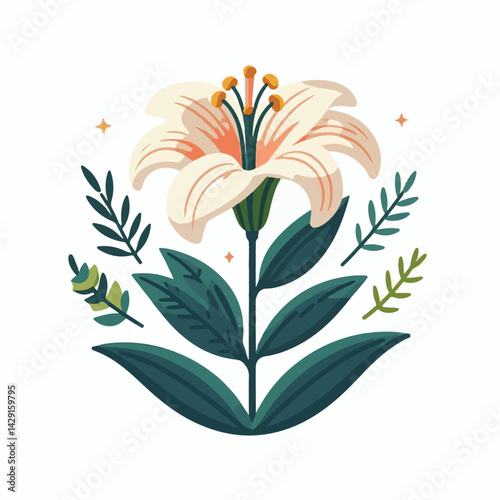floral, lily, flower, nature, blossom, plant, white, background, spring, flora, bouquet, isolated, botanical, decoration, summer, botany, leaf, bloom, beautiful, green, closeup, petal, illustration, g