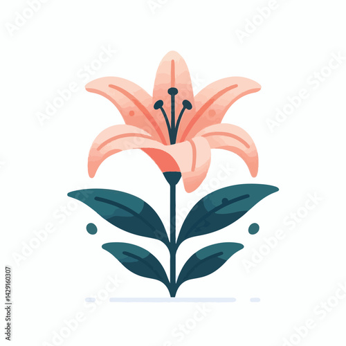 floral, lily, flower, nature, blossom, plant, white, background, spring, flora, bouquet, isolated, botanical, decoration, summer, botany, leaf, bloom, beautiful, green, closeup, petal, illustration, g