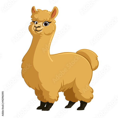 Vector illustration of an alpaca