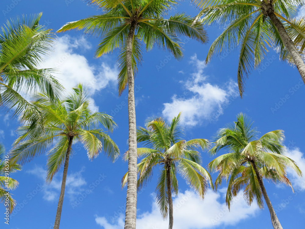 Fototapeta premium Palm Trees Against a Bright Blue Sky