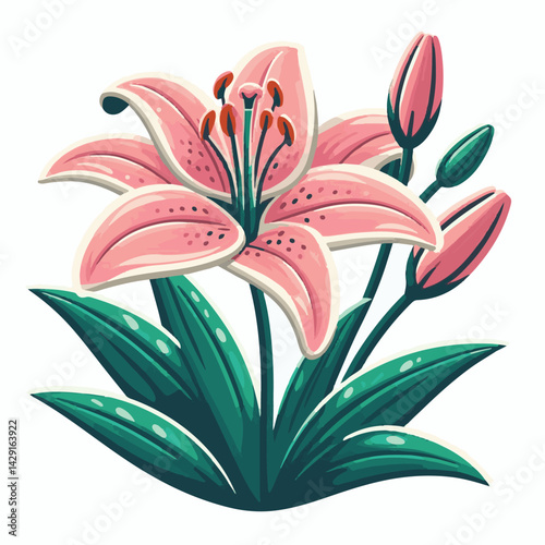 floral, lily, flower, nature, blossom, plant, white, background, spring, flora, bouquet, isolated, botanical, decoration, summer, botany, leaf, bloom, beautiful, green, closeup, petal, illustration, g