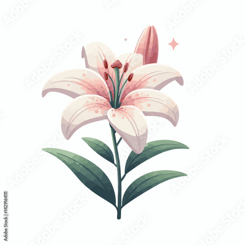 floral, lily, flower, nature, blossom, plant, white, background, spring, flora, bouquet, isolated, botanical, decoration, summer, botany, leaf, bloom, beautiful, green, closeup, petal, illustration, g