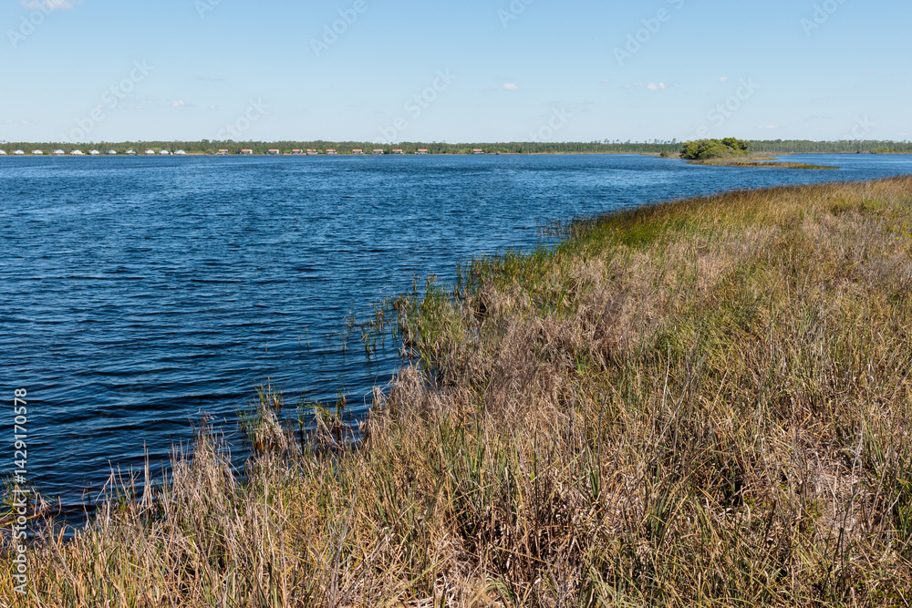 Fototapeta premium The marshy shoreline of Lake Shelby in the foreground, the cabins along the distant shore within Gulf State Park, Gulf Shores, Alabama in mid-April