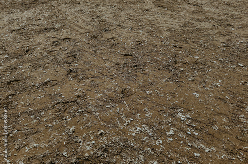 Polluted Soil Surface with Litter and Waste Showing Environmental Damage and Land Preparation Challenges