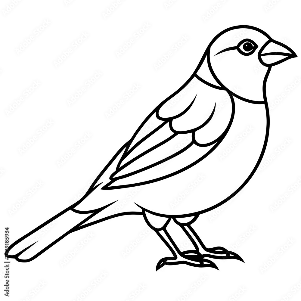 Obraz premium Single-Line Finch Vector Design