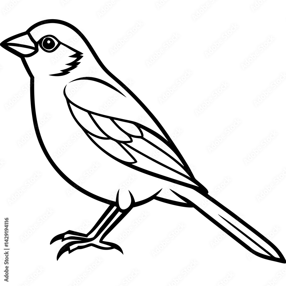 Obraz premium Sparrow Outline One Line Vector Design