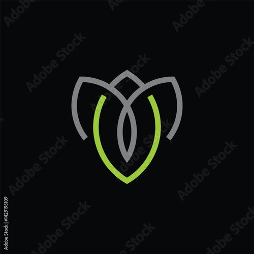 VM MV Lotus