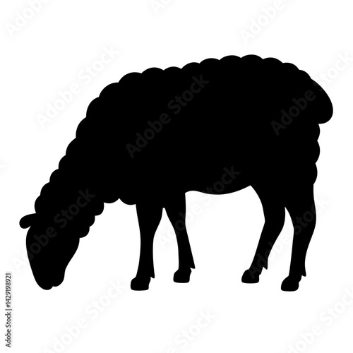 Black Sheep Silhouette Eating or Grazing with Head Down and Woolly Fleece, transparent . Over