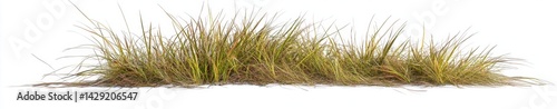 Dry Grass Field (1)