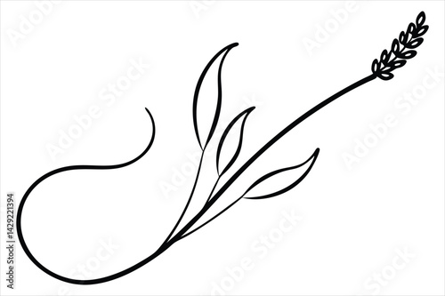 One line lavender sprig gently curving like a musical note