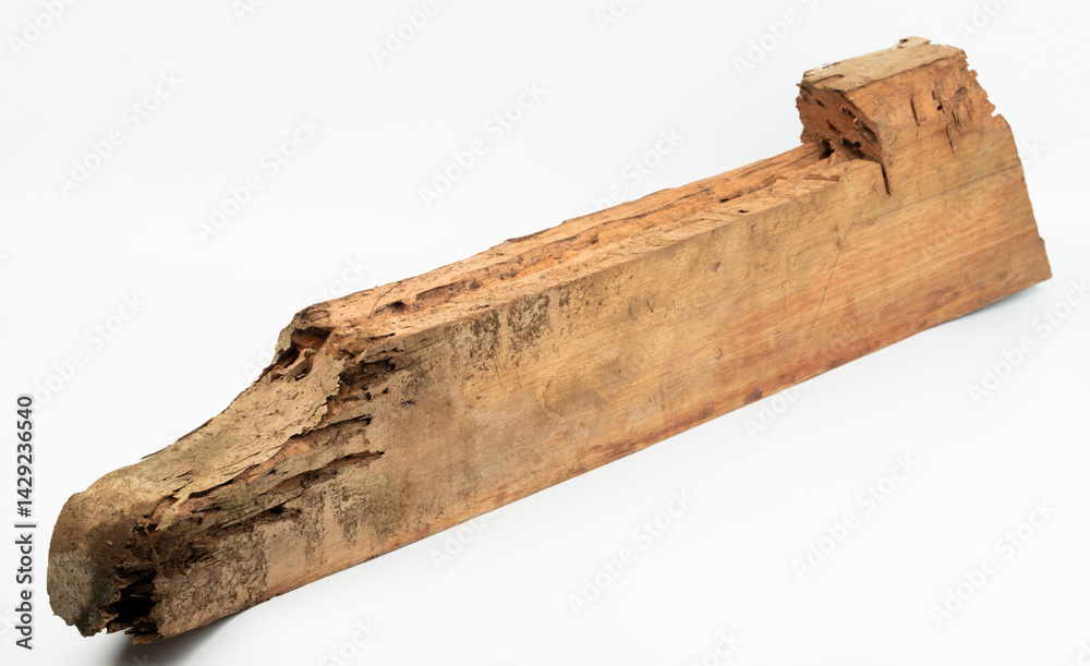 Weathered piece of wood with unique texture displayed against white background