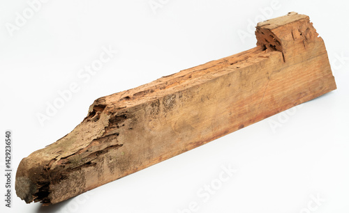 Obraz na płótnie Weathered piece of wood with unique texture displayed against white background w salonie