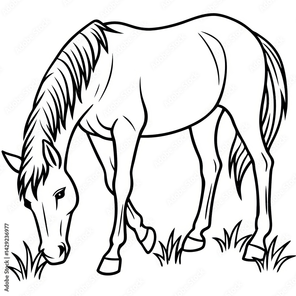 Fototapeta premium Majestic Horse&nbsp;Line Art