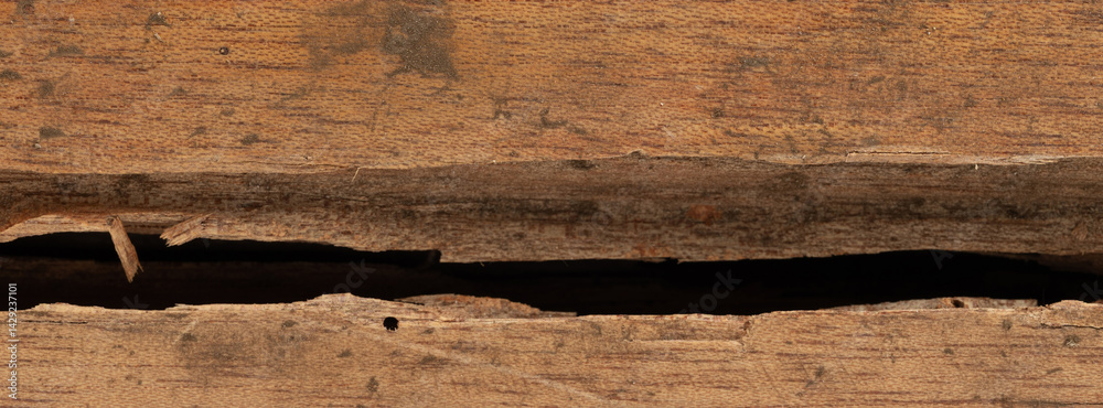 Cracked wooden surface reveals natural textures and patterns in warm light