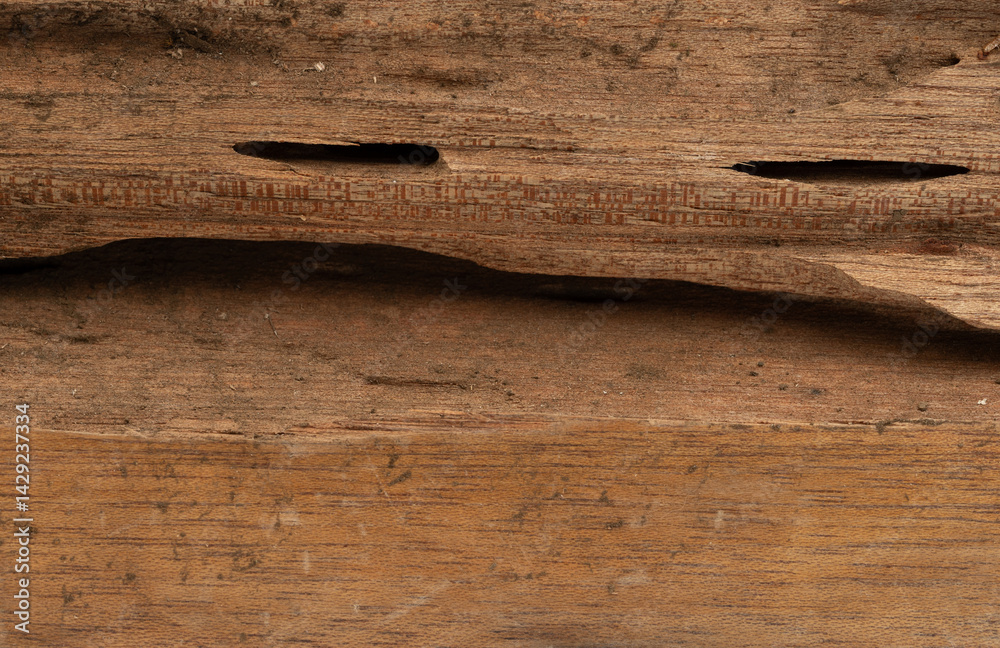 Intricate details of carved wood showcasing craftsmanship and texture under natural light