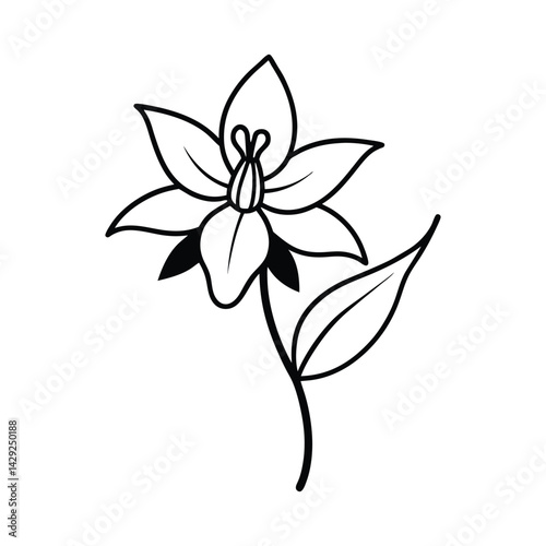 Elegant Line Art of a Columbine Flower – Clean Floral Illustration