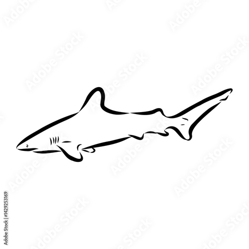 great white shark drawn in ink freehand sketch logo