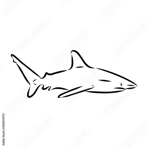 great white shark drawn in ink freehand sketch logo