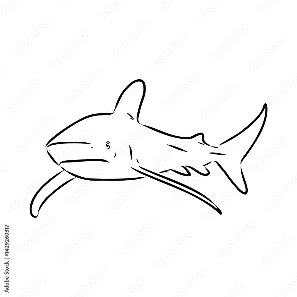 great white shark drawn in ink freehand sketch logo great white shark drawn in ink freehand sketch logo