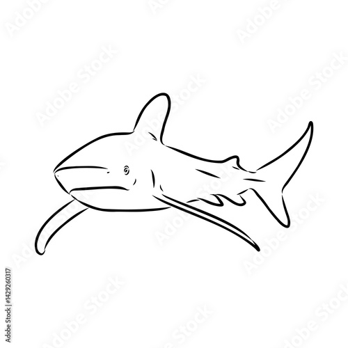 great white shark drawn in ink freehand sketch logo