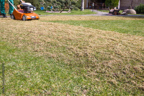 Scarification and aeration of the lawn with a scarifier