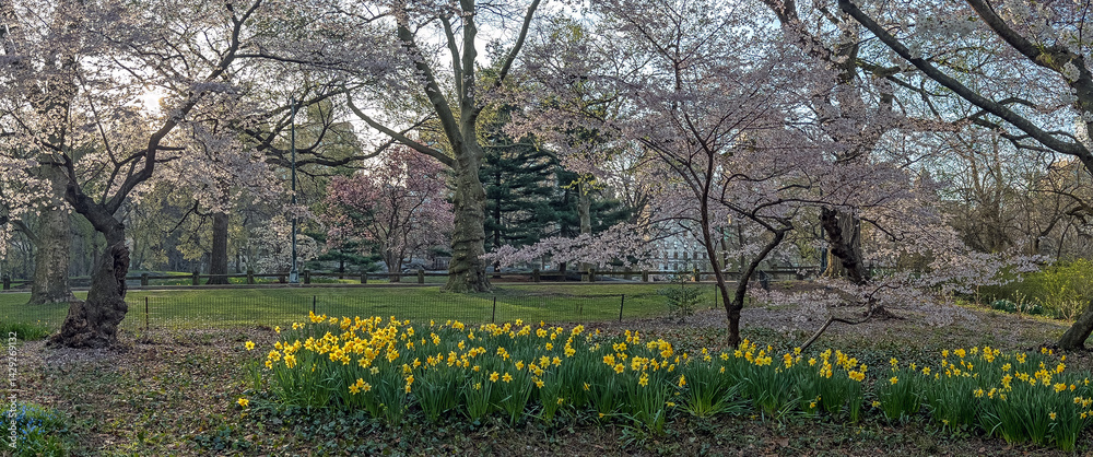 Central Park in spring