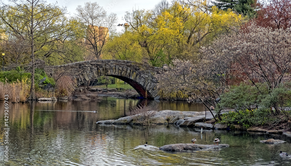 Gapstow Bridge in Central Park, spring