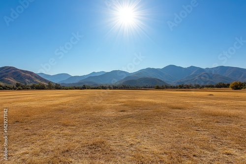 Sunny, dry field with distant mountains.  Vast, golden plain stretching to a hazy mountain range under a clear blue sky.  Bright sun highlights the landscape photo