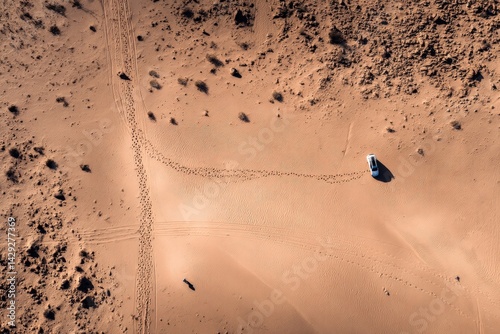 Obraz na płótnie Desert Landscape with Car Tracks and Footprints Under Clear Sky w salonie