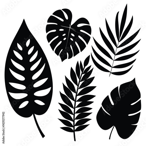  8 tropical leaf silhouettes in varying styles, with a balance between broad monstera leaves and finer palm fronds