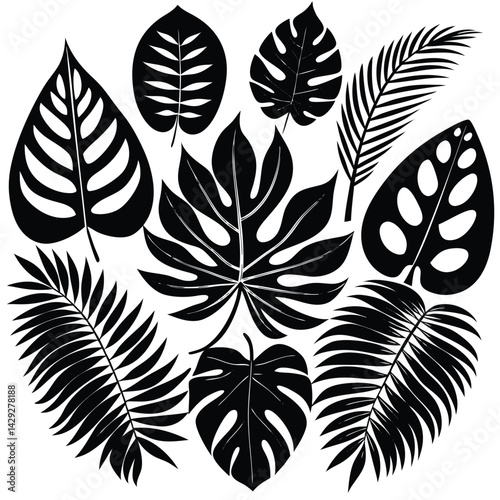  8 tropical leaf silhouettes in varying styles, with a balance between broad monstera leaves and finer palm fronds