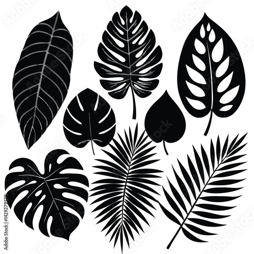  8 tropical leaf silhouettes in varying styles, with a balance between broad monstera leaves and finer palm fronds