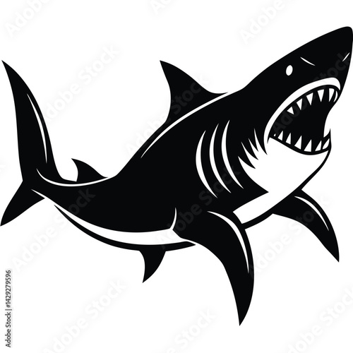 Aggressive Shark Black and White Vector Ocean Predator Art
