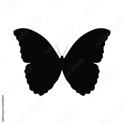 Butterfly Silhouette