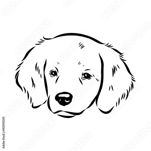 spanish breton dog Breton epagnole dog, vector sketch