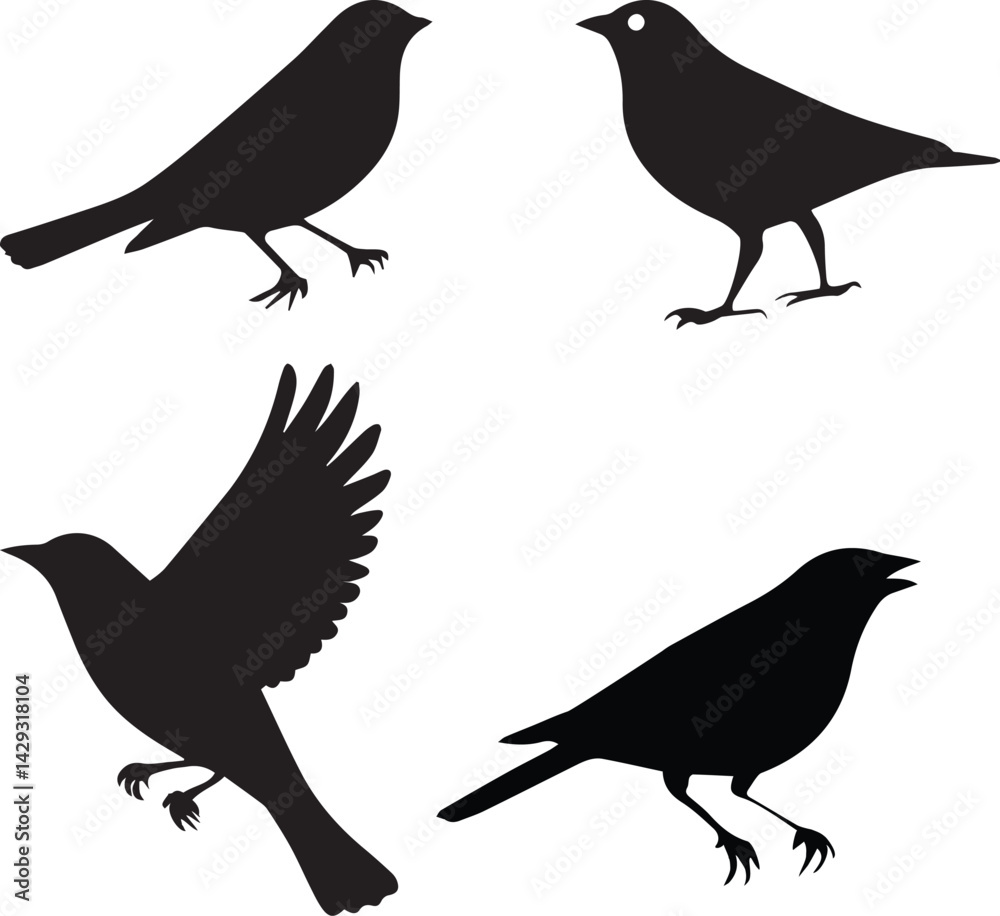 Fototapeta premium Black Silhouette Birds Set: A meticulously crafted collection of black silhouette birds in various poses, perfect for adding a touch of elegance and artistic flair to any project.