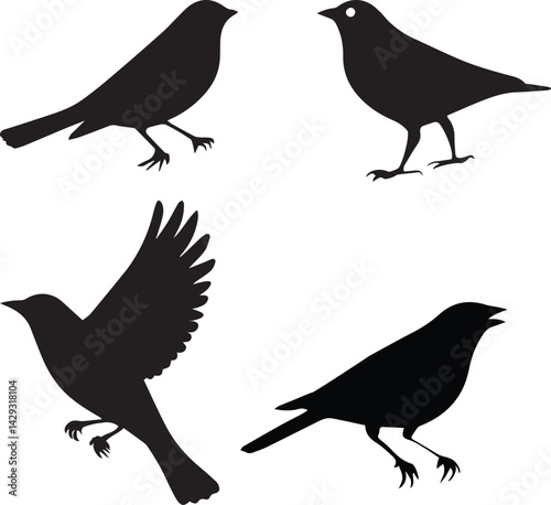 Black Silhouette Birds Set: A meticulously crafted collection of black silhouette birds in various poses, perfect for adding a touch of elegance and artistic flair to any project.
