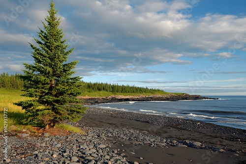 Wallpaper Mural Serene Coastal Landscape,  Evergreen Tree on Rocky Beach Torontodigital.ca