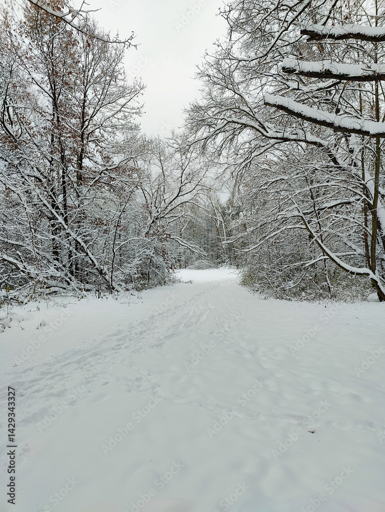 Obraz premium A snow covered path in the middle of a snowy forest
