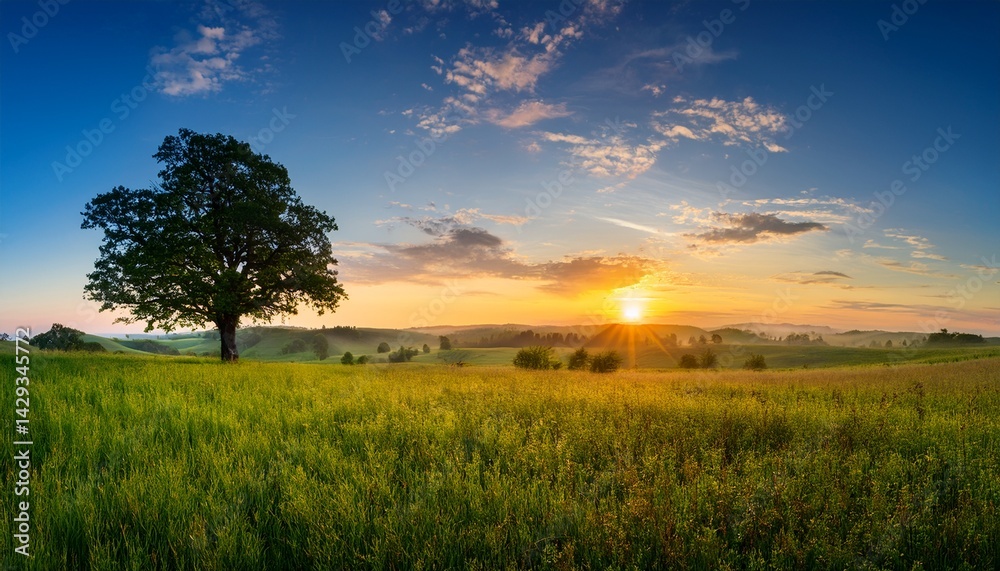 Obraz premium tranquil panoramic rural landscape scenery in an early summer morning after sunrise with a tree on green meadows and colorful clouds in the gold and blue sky
