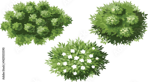 Vector top view set of green trees, tropical plants, and blooming spring flowers for outdoor map and garden architecture design
