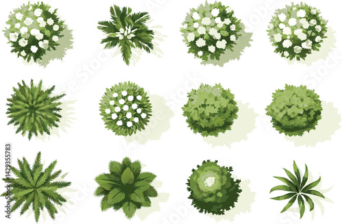 Vector top view set of green trees, tropical plants, and blooming spring flowers for outdoor map and garden architecture design