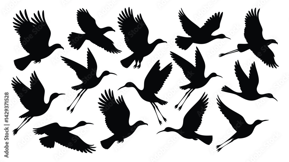 Obraz premium A collection of black silhouettes of birds, likely ibis or similar wading birds, in various flight positions against a pure white background