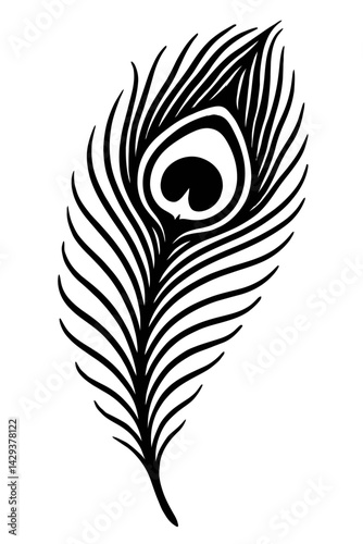 Vector illustration of a detailed peacock feather in black and white. Represents beauty, elegance, and nature.