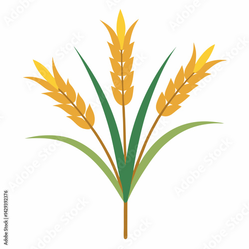 wheat ears on white background