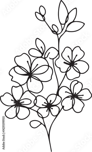 Cherry Blossom Flower Line Drawing on White Background