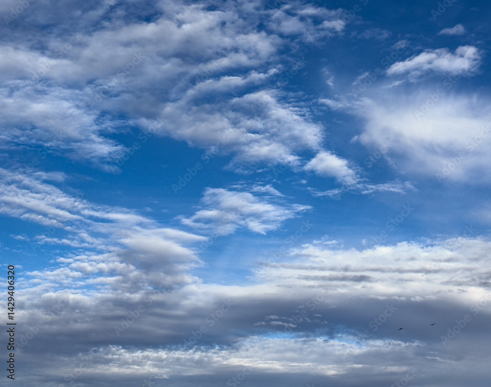 Fototapeta premium blue sky with clouds