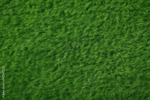 Wallpaper Mural Close-up of lush green grass, texture of nature, vibrant emerald green. Torontodigital.ca