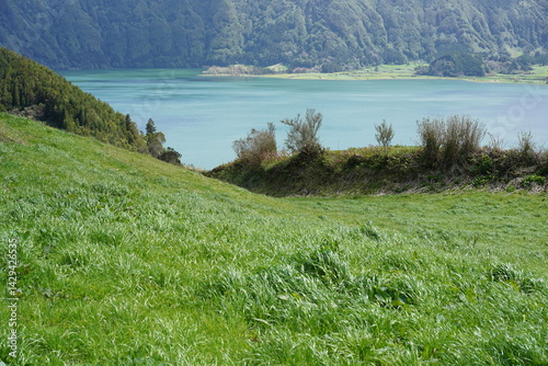 Obraz na płótnie Blick auf den Lagoa Azul von Sete Cidades auf São Miguel w salonie